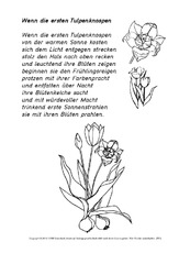 Gedicht-Wenn-die-ersten-Tulpenknospen-SW.pdf